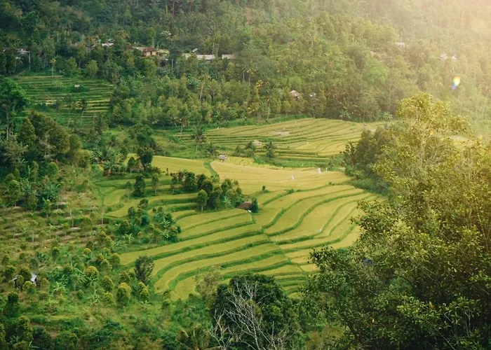 منتجع Maha Hills By Mahaprana Experience لوفينا