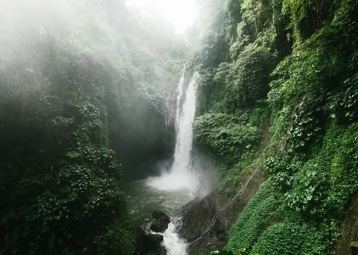 Maha Hills By Mahaprana Experience 5* ロヴィーナ
