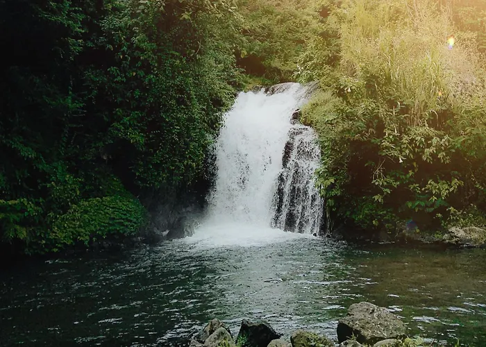 Maha Hills By Mahaprana Experience Lovina